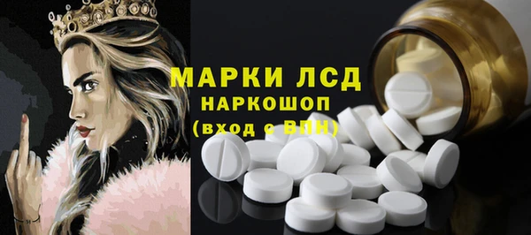 гашик Арсеньев