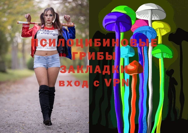 гашик Арсеньев