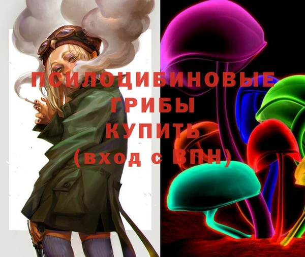гашик Арсеньев