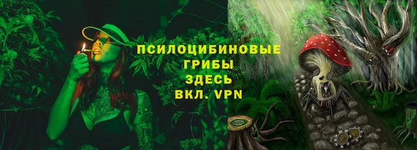 дмт Аркадак