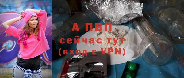 гашик Арсеньев