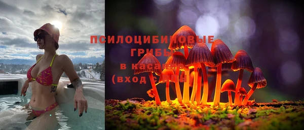 гашик Арсеньев
