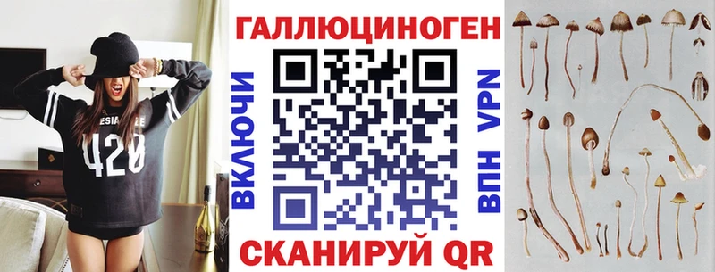продажа наркотиков Талдом blacksprut зеркало Псилоцибиновые грибы Psilocybe
